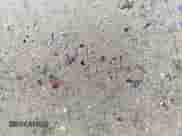 2003 Chevrolet S-10 LS с VIN 1GCDT13X13K167564, выставлен на аукционе IAAI как лот 42593006 с пробегом Не указан миль и . История ставок и продаж доступна на DreamBid. Изображение 8.