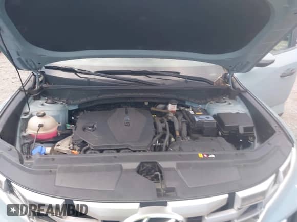 2022 Hyundai Santa Cruz SEL с VIN 5NTJC4AE6NH017667, выставлен на аукционе IAAI как лот 43041876 с пробегом 34 900 миль миль и . История ставок и продаж доступна на DreamBid. Изображение 10.
