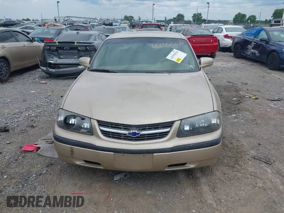 2000 Chevrolet Impala с VIN 2G1WF55K7Y9165151, выставлен на аукционе IAAI как лот 42355624 с пробегом 136 557 миль миль и . История ставок и продаж доступна на DreamBid. Изображение 12.