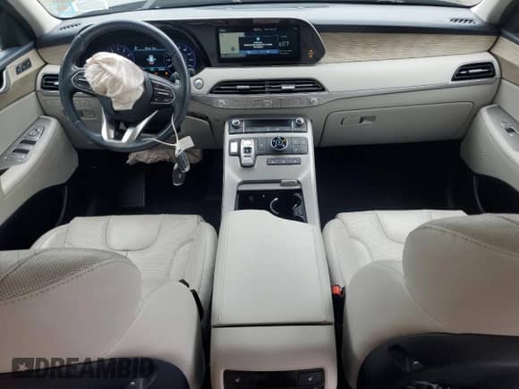 2021 Hyundai Palisade SEL with VIN KM8R4DHE8MU206650, listed as a Copart auction lot 81599495 with 79,750 mi miles and Salvage title. Bid and sale history available at DreamBid. Image 8.