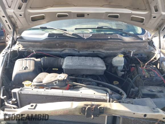 2003 Dodge 1500 ST with VIN 1D7HA18NX3J524198, listed as a IAAI auction lot 42887443 with 303,684 mi miles and . Bid and sale history available at DreamBid. Image 10.