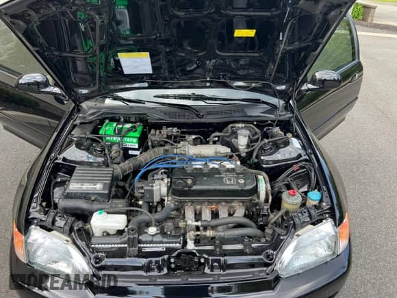 1992 Honda Civic with VIN 2HGEH2457NH561798, listed as a Copart auction lot 69810895 with 201,079 mi miles and Clean title. Bid and sale history available at DreamBid. Image 7.