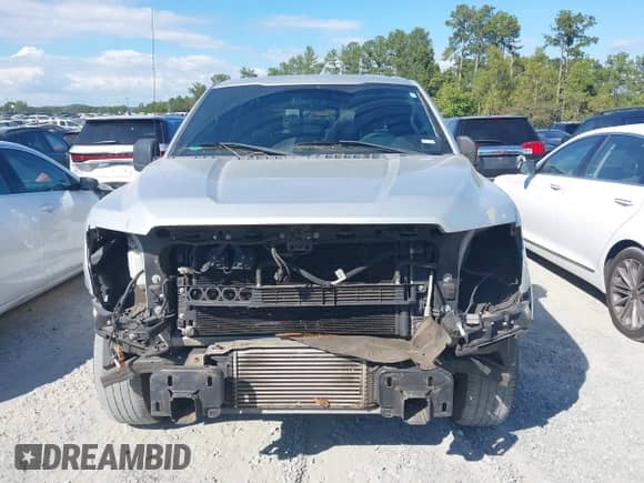 2016 Ford F-150 XLT z VIN 1FTEW1CP4GFB74874, wystawiony jako IAAI lot #43321603 z przebiegiem 208 863 mil mil oraz . Historia ofert i sprzedaży dostępna na DreamBid. Obrazek 12.