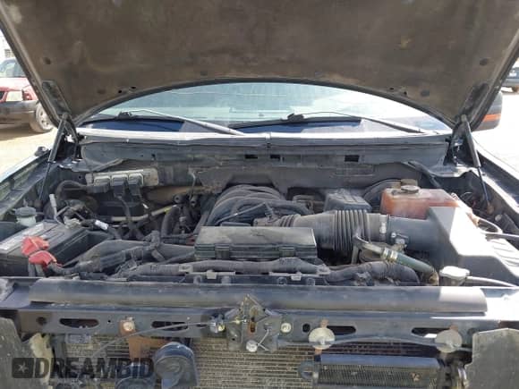 2009 Ford F-150 XL with VIN 1FTRW14889FA86468, listed as a IAAI auction lot 43355847 with 174,544 mi miles and . Bid and sale history available at DreamBid. Image 10.