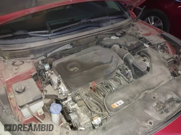 2017 Hyundai Sonata SE z VIN 5NPE24AF3HH562242, wystawiony jako IAAI lot #43378988 z przebiegiem 191 494 mil mil oraz . Historia ofert i sprzedaży dostępna na DreamBid. Obrazek 10.