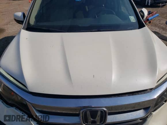 2019 Honda Pilot EX with VIN 5FNYF5H31KB029119, listed as a Copart auction lot 69131075 with 107,678 mi miles and Salvage title. Bid and sale history available at DreamBid. Image 12.