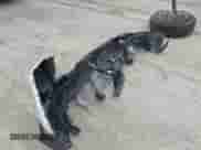 2020 Chevrolet Blazer LT z VIN 3GNKBCRS7LS603556, wystawiony jako IAAI lot #41790107 z przebiegiem 91 208 mil mil oraz . Historia ofert i sprzedaży dostępna na DreamBid. Obrazek 12.