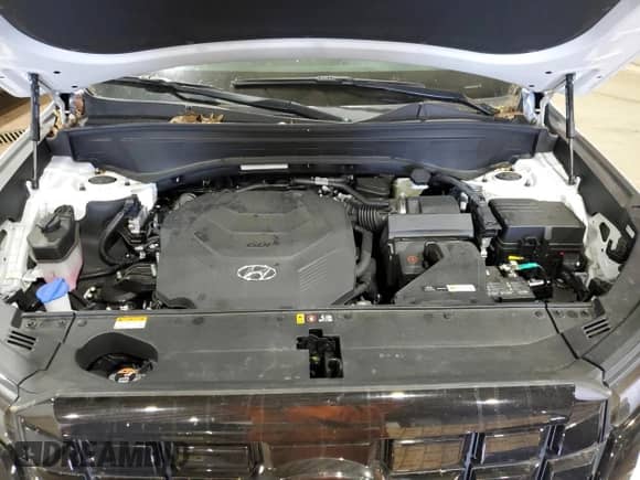 2023 Hyundai Palisade SEL с VIN KM8R4DGEXPU592378, выставлен на аукционе Copart как лот 55386084 с пробегом 10 826 миль миль и . История ставок и продаж доступна на DreamBid. Изображение 12.