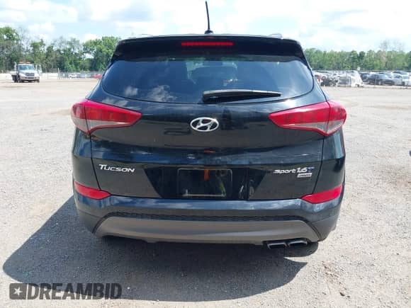 2016 Hyundai Tucson Limited with VIN KM8J3CA29GU209734, listed as a IAAI auction lot 42830542 with 52,744 mi miles and . Bid and sale history available at DreamBid. Image 16.
