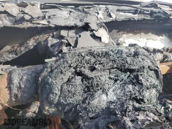 2019 Ford F-150 XL with VIN 1FTEW1EP0KKE97865, listed as a Copart auction lot 81120155 with Not provided miles and Salvage title. Bid and sale history available at DreamBid. Image 9.