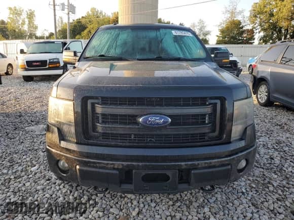 2013 Ford F-150 XLT с VIN 1FTFW1EF6DFD20258, выставлен на аукционе Copart как лот 81785475 с пробегом 246 678 миль миль и Чистый • Clean title. История ставок и продаж доступна на DreamBid. Изображение 5.