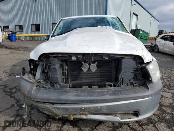 2010 Dodge 1500 ST with VIN 1D7RB1GK4AS126579, listed as a Copart auction lot 44359815 with Not provided miles and Salvage title. Bid and sale history available at DreamBid. Image 5.