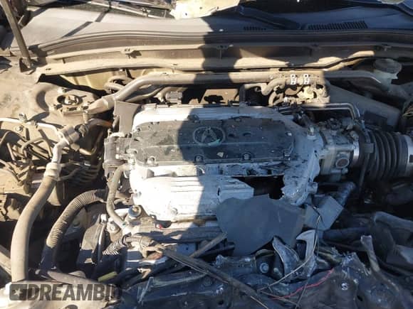 2009 Acura TL Technology с VIN 19UUA86599A022166, выставлен на аукционе IAAI как лот 43467655 с пробегом 197 933 миль миль и . История ставок и продаж доступна на DreamBid. Изображение 10.