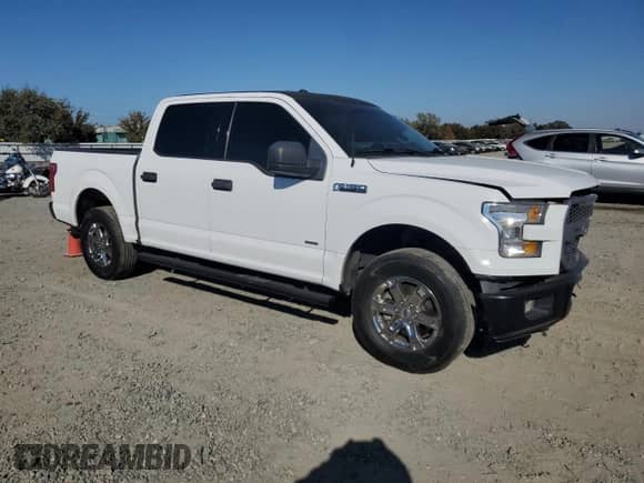 2017 Ford F-150 XL with VIN 1FTEW1CG2HKC92396, listed as a Copart auction lot 81133455 with 114,956 mi miles and Salvage title. Bid and sale history available at DreamBid. Image 4.
