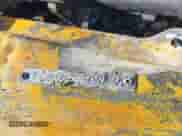 2003 Dodge 2500 ST с VIN 3D7KU28D53G836912, выставлен на аукционе IAAI как лот 41963302 с пробегом Не указан миль и . История ставок и продаж доступна на DreamBid. Изображение 9.