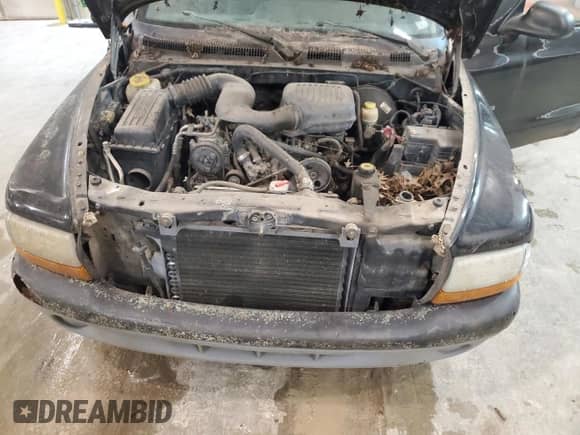 1998 Dodge Dakota with VIN 1B7FL26P6WS608250, listed as a Copart auction lot 85065594 with Not provided miles and Clean title. Bid and sale history available at DreamBid. Image 11.