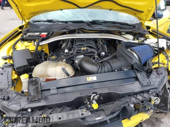 2016 Ford Mustang Shelby GT350 с VIN 1FA6P8JZ2G5522245, выставлен на аукционе IAAI как лот 42744249 с пробегом 29 267 миль миль и . История ставок и продаж доступна на DreamBid. Изображение 10.