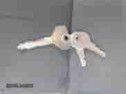 1999 Jeep Wrangler Sahara с VIN 1J4FY49S5XP489666, выставлен на аукционе IAAI как лот 43444119 с пробегом 141 404 миль миль и . История ставок и продаж доступна на DreamBid. Изображение 11.