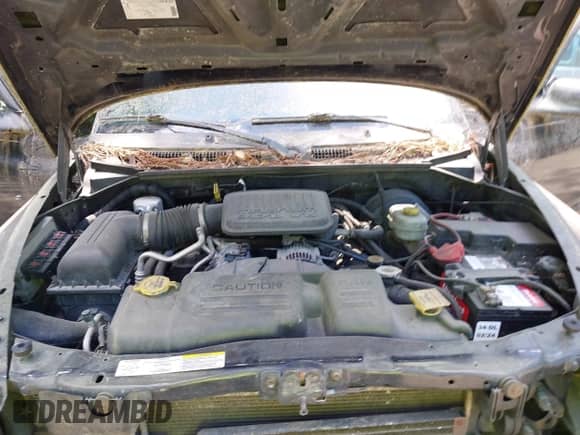 2004 Dodge Dakota with VIN 1D7HG12K34S662903, listed as a IAAI auction lot 42293034 with 168,868 mi miles and . Bid and sale history available at DreamBid. Image 10.