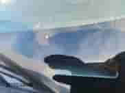 2014 Ford F-150 XL with VIN 1FTEX1CM3EFC04740, listed as a Copart auction lot 80613835 with 138,600 mi miles and Salvage title. Bid and sale history available at DreamBid. Image 13.