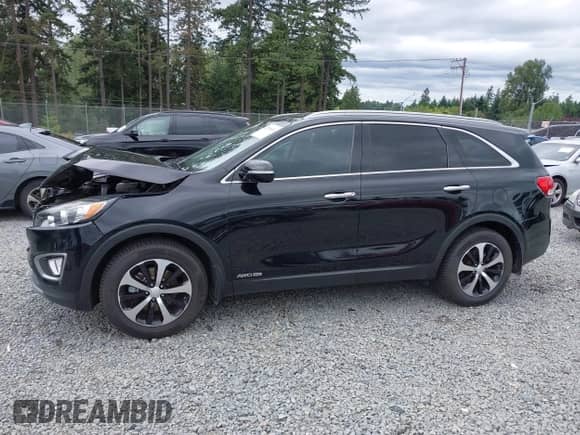 2016 Kia Sorento EX z VIN 5XYPHDA51GG111685, wystawiony jako IAAI lot #42701031 z przebiegiem 121 605 mil mil oraz . Historia ofert i sprzedaży dostępna na DreamBid. Obrazek 14.