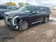 2024 Hyundai Palisade SEL с VIN KM8R2DGE4RU729176, выставлен на аукционе IAAI как лот 43513009 с пробегом 44 831 миль миль и . История ставок и продаж доступна на DreamBid. Изображение 2.