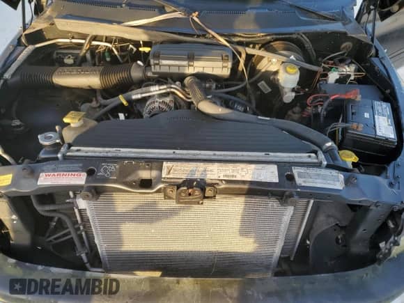 1998 Dodge 1500 z VIN 3B7HF13Y2WG216168, wystawiony jako Copart lot #76742244 z przebiegiem Nie podano mil oraz Nie do naprawy • Non repairable. Historia ofert i sprzedaży dostępna na DreamBid. Obrazek 11.