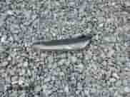 2018 Hyundai Kona SEL with VIN KM8K22AA8JU162504, listed as a Copart auction lot 84467575 with 28,515 mi miles and Salvage title. Bid and sale history available at DreamBid. Image 13.