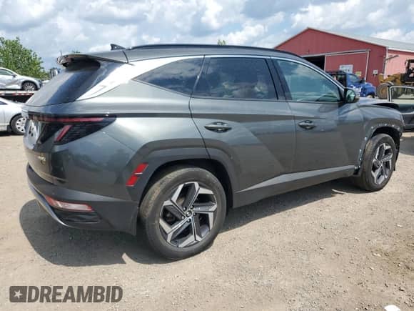 2023 Hyundai Tucson Luxury with VIN KM8JCCA12PU129411, listed as a Copart auction lot 67601355 with Not provided miles and Salvage title. Bid and sale history available at DreamBid. Image 3.