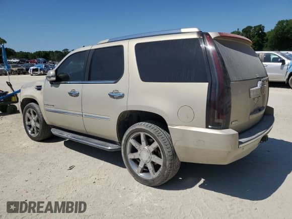 2009 Cadillac Escalade with VIN 1GYFK13299R164664, listed as a Copart auction lot 53430875 with 233,078 mi miles and Salvage title. Bid and sale history available at DreamBid. Image 2.
