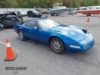 1992 Chevrolet Corvette with VIN 1G1YY23P1N5100904, listed as a IAAI auction lot 43426005 with 123,525 mi miles and . Bid and sale history available at DreamBid. Image 1.