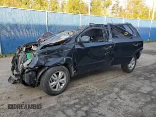 2009 Hyundai Tucson GLS с VIN KM8JM12B89U069890, выставлен на аукционе Copart как лот 85306255 с пробегом Не указан миль и На запчасти • Non repairable. История ставок и продаж доступна на DreamBid. Изображение 1.
