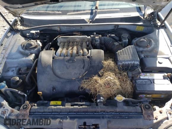 2004 Hyundai Sonata GLS with VIN KMHWF35H94A059908, listed as a Copart auction lot 75769764 with 96,306 mi miles and Clean title. Bid and sale history available at DreamBid. Image 11.