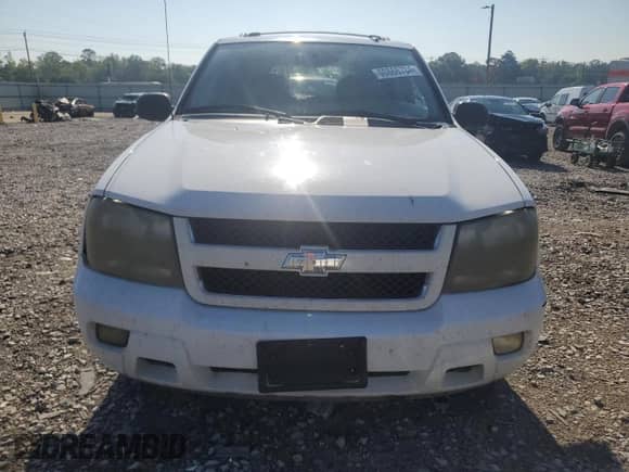 2009 Chevrolet TrailBlazer 1LT z VIN 1GNDT33S092116542, wystawiony jako Copart lot #60866784 z przebiegiem 254 686 mil mil oraz Szkoda całkowita • Salvage title. Historia ofert i sprzedaży dostępna na DreamBid. Obrazek 5.