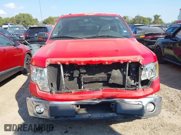 2010 Ford F-150 XL with VIN 1FTEW1C81AKA18816, listed as a IAAI auction lot 43262622 with 171,251 mi miles and . Bid and sale history available at DreamBid. Image 6.