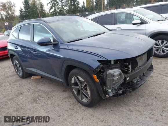 2025 Hyundai Tucson SEL with VIN 5NMJB3DE6SH443844, listed as a IAAI auction lot 43521524 with 28,997 mi miles and . Bid and sale history available at DreamBid. Image 1.