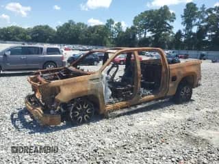 2020 GMC Sierra 1500 AT4 with VIN 1GTP9EED0LZ144208, listed as a Copart auction lot 69957355 with Not provided miles and Non repairable. Bid and sale history available at DreamBid. Image 1.