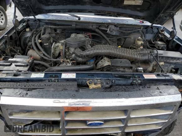 1994 Ford F-150 z VIN 1FTEF14NXRLA62582, wystawiony jako Copart lot #52379715 z przebiegiem 176 792 mil mil oraz Szkoda całkowita • Salvage title. Historia ofert i sprzedaży dostępna na DreamBid. Obrazek 12.