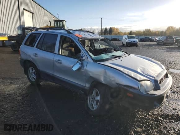2002 Hyundai Santa Fe GLS with VIN KM8SC73D62U247487, listed as a Copart auction lot 81324114 with 220,620 mi miles and Salvage title. Bid and sale history available at DreamBid. Image 4.