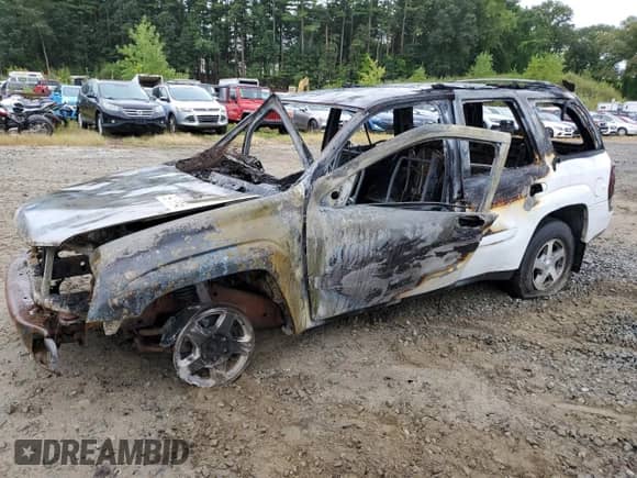 2004 Chevrolet TrailBlazer LT with VIN 1GNDT13S742196726, listed as a Copart auction lot 69765045 with Not provided miles and Clean title. Bid and sale history available at DreamBid. Image 1.