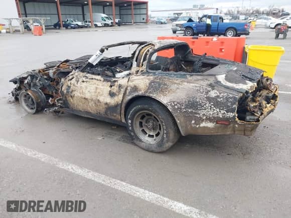 1981 Chevrolet Corvette с VIN 1G1AY8760BS430696, выставлен на аукционе IAAI как лот 41482473 с пробегом Не указан миль и . История ставок и продаж доступна на DreamBid. Изображение 3.
