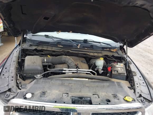 2009 Dodge 1500 SLT z VIN 1D3HV18T49S726980, wystawiony jako IAAI lot #40748830 z przebiegiem 154 320 mil mil oraz . Historia ofert i sprzedaży dostępna na DreamBid. Obrazek 10.