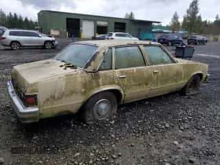 1979 Chevrolet Malibu с VIN 1W19J9K439407, выставлен на аукционе Copart как лот 48776395 с пробегом 47 010 миль миль и Чистый • Clean title. История ставок и продаж доступна на DreamBid. Изображение 3.