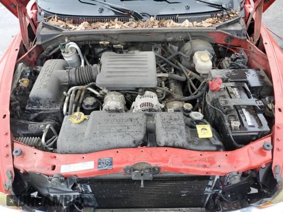 2001 Dodge Dakota Sport with VIN 1B7HL2AN71S322852, listed as a Copart auction lot 70880305 with 302,383 mi miles and Salvage title. Bid and sale history available at DreamBid. Image 11.