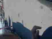 2019 Ford F-150 XL with VIN 1FTFW1E54KKC37293, listed as a IAAI auction lot 42475638 with 113,380 mi miles and . Bid and sale history available at DreamBid. Image 6.