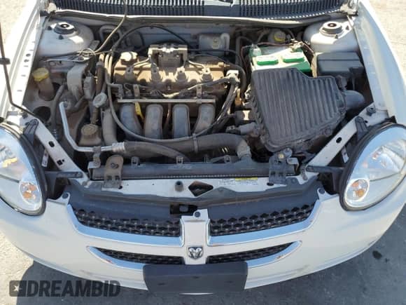 2005 Dodge Neon SXT with VIN 1B3ES56C05D171072, listed as a Copart auction lot 61170435 with 218,495 mi miles and Salvage title. Bid and sale history available at DreamBid. Image 11.