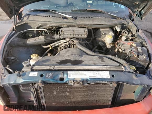 1999 Dodge 1500 с VIN 1B7HC16X5XS190087, выставлен на аукционе Copart как лот 46393795 с пробегом 174 178 миль миль и Списание • Salvage title. История ставок и продаж доступна на DreamBid. Изображение 11.