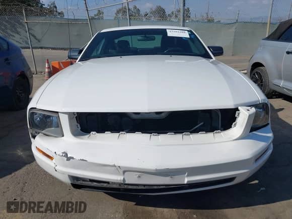 2006 Ford Mustang Standard with VIN 1ZVFT80NX65154834, listed as a IAAI auction lot 43204488 with 205,315 mi miles and . Bid and sale history available at DreamBid. Image 6.