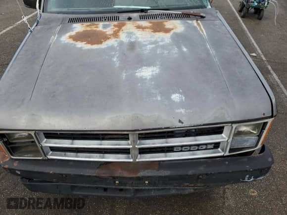 1989 Dodge Dakota S with VIN 1B7GL26X9KS129335, listed as a Copart auction lot 82744003 with 174,152 mi miles and Salvage title. Bid and sale history available at DreamBid. Image 11.