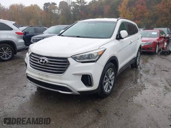 2017 Hyundai Santa Fe SE with VIN KM8SM4HF3HU182998, listed as a IAAI auction lot 43434656 with 115,094 mi miles and . Bid and sale history available at DreamBid. Image 2.